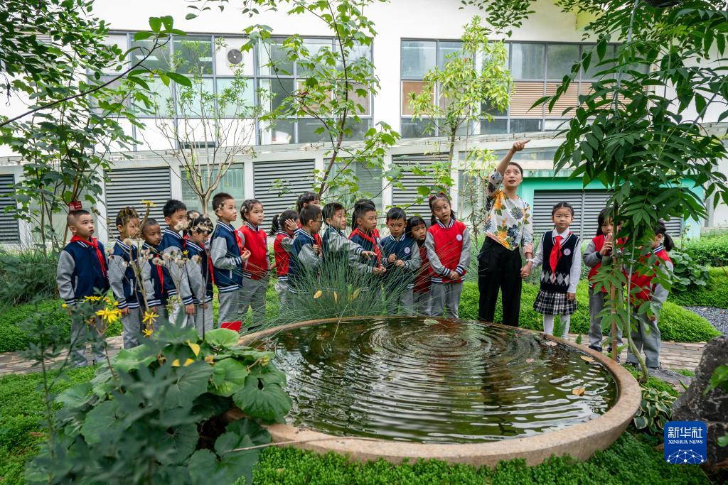 20230828084415215-19-39c87.jpg 20230828084415215-19-39c87.jpg