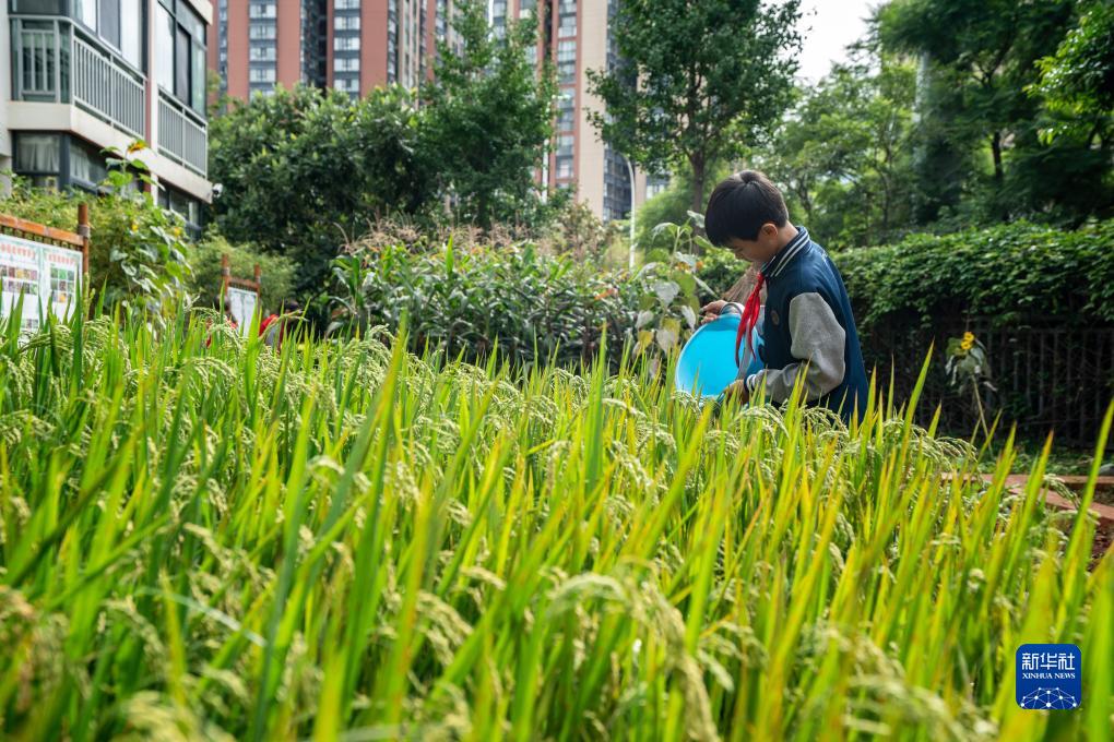 20230828084415215-91-a30b9.jpg 20230828084415215-91-a30b9.jpg