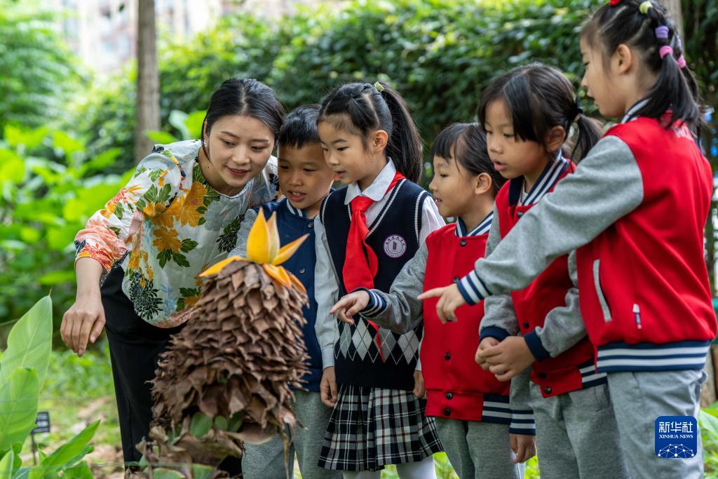 20230828084415260-64-28c2e.jpg 20230828084415260-64-28c2e.jpg