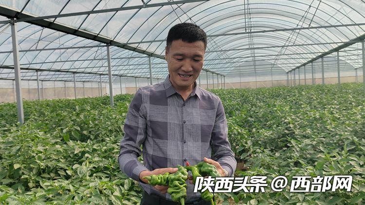 正在上传... 58e4a9845539d206f29328cf52d105ec.png