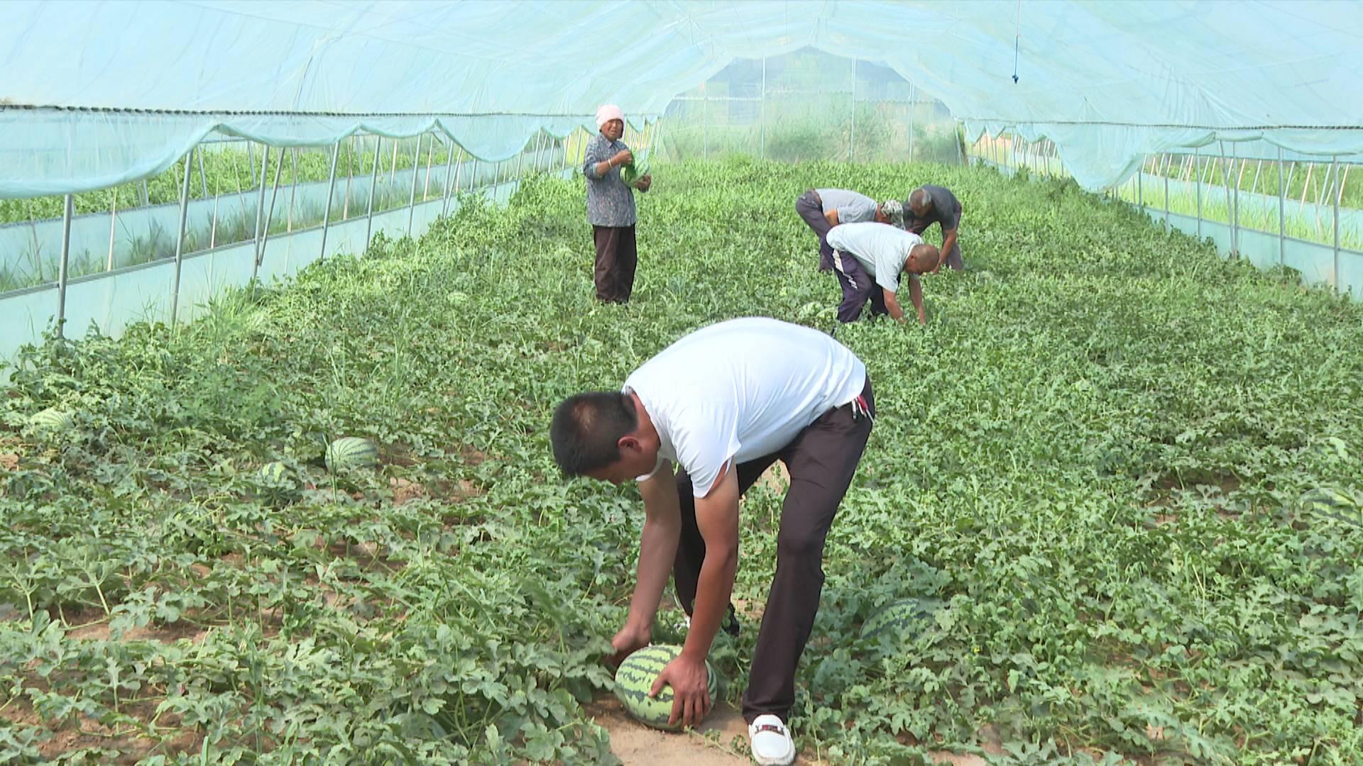 20230922145236794-61-f2616.jpg 20230922145236794-61-f2616.jpg