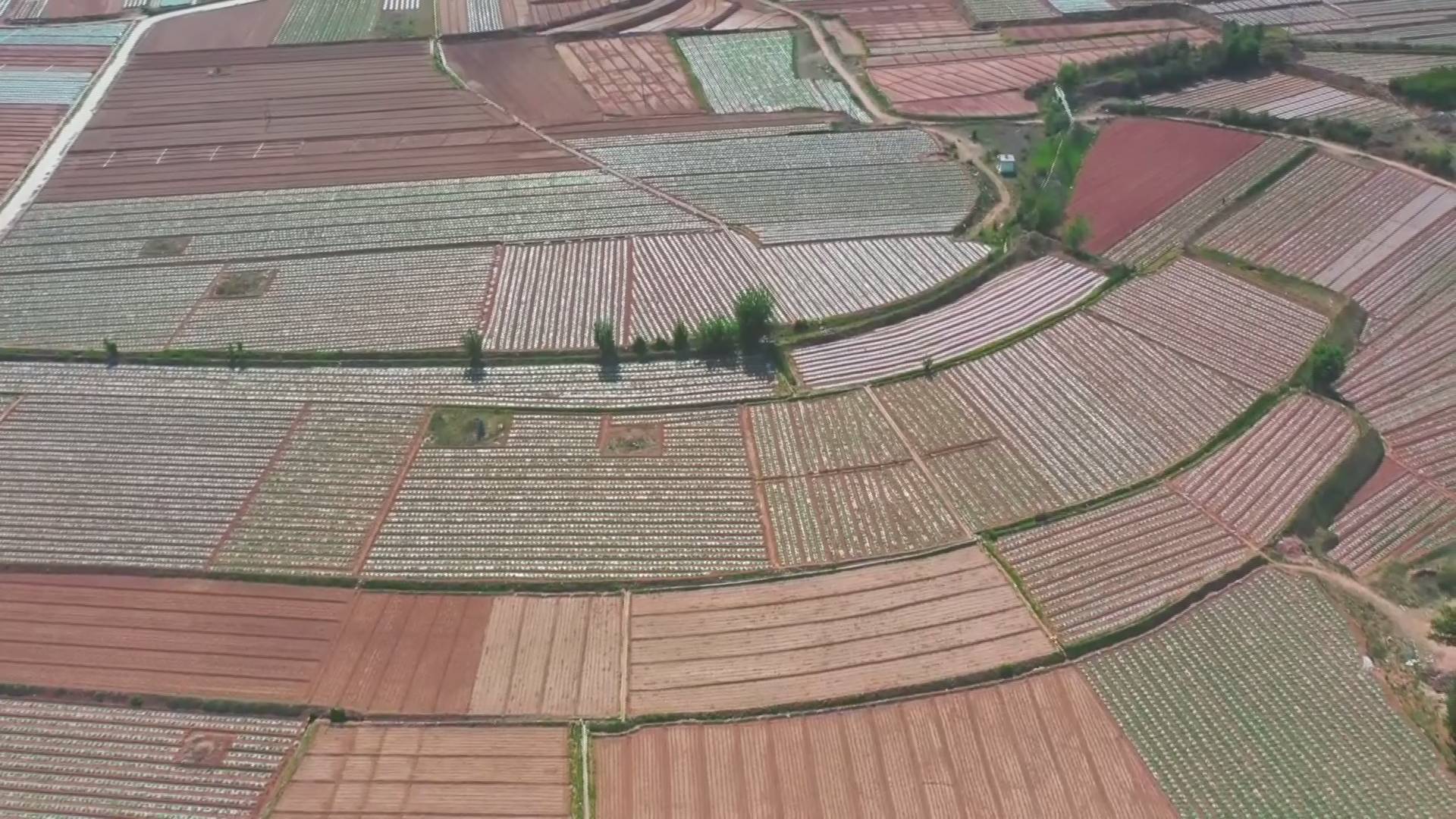 20230922145245372-42-d56ff.jpg 20230922145245372-42-d56ff.jpg