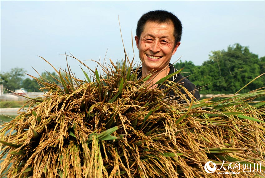 粮食在手，安全常有。潘建勇摄