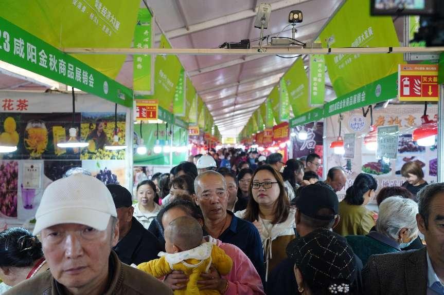 微信图片_20231010171015