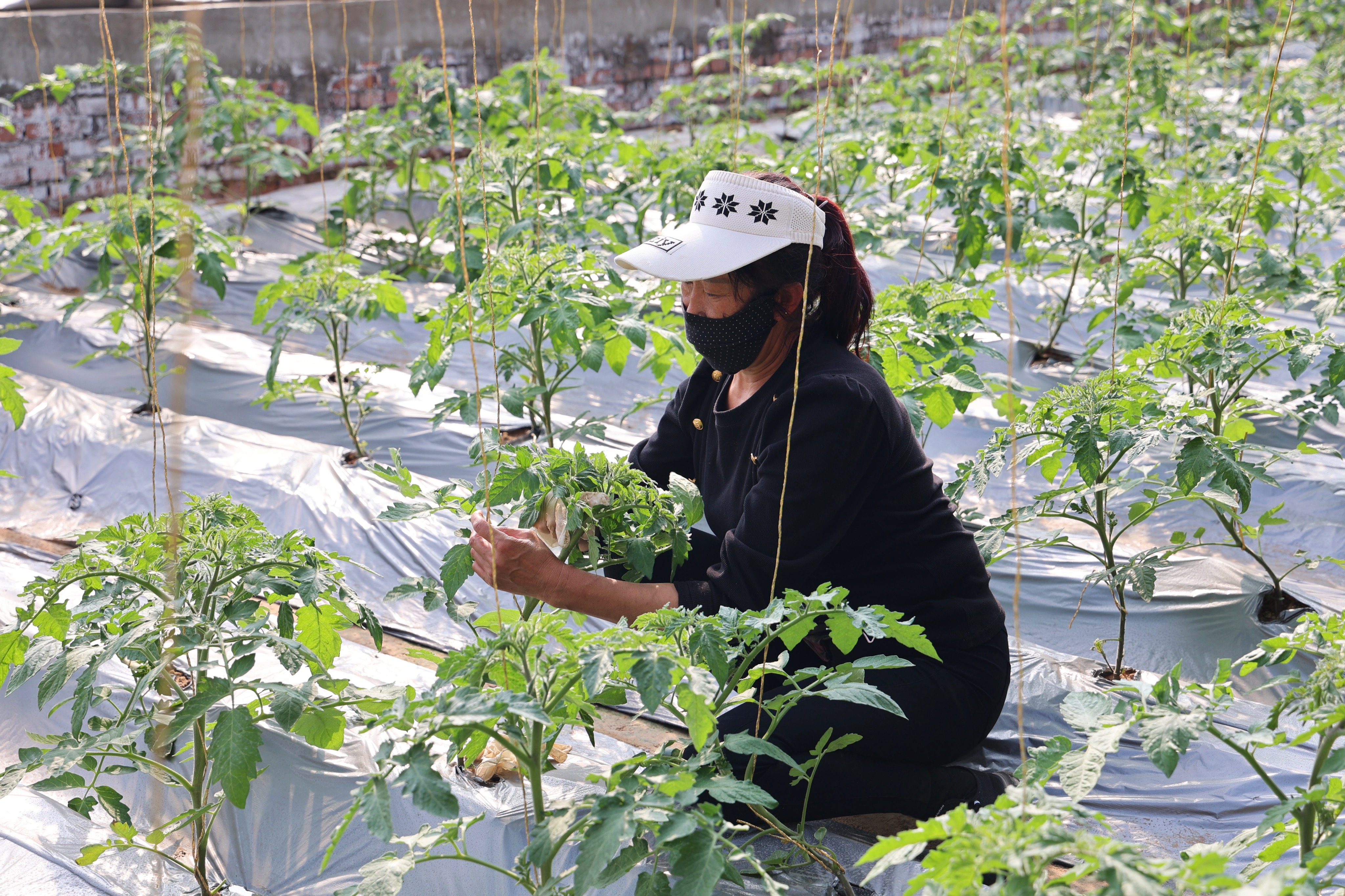 20231017150010423-48-e7a3d.jpg 20231017150010423-48-e7a3d.jpg