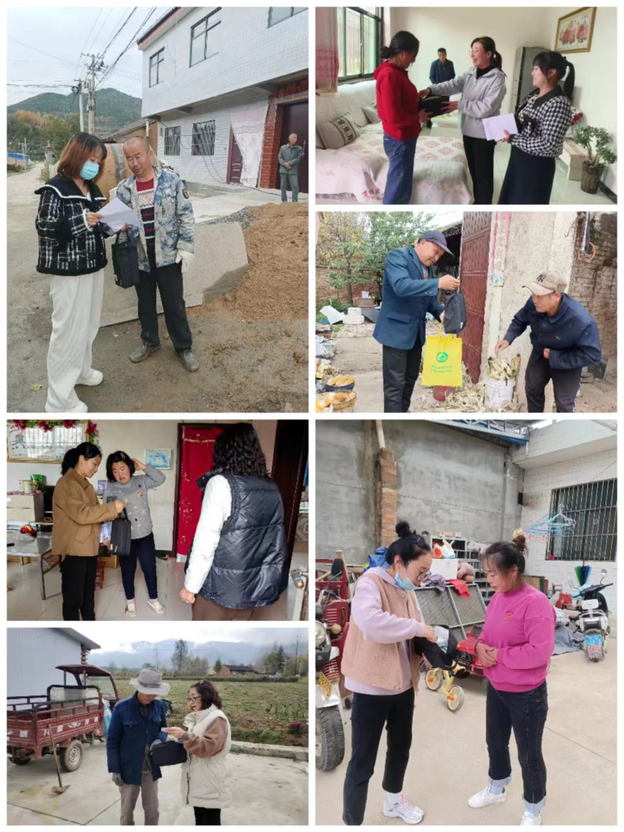 图片1