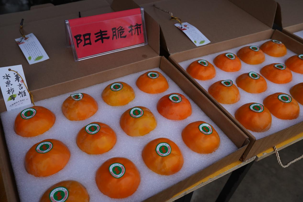 微信图片_20231020082737