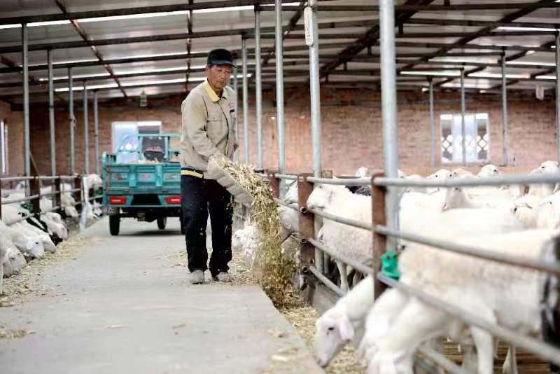 20231024105109734-65-90ddb.jpg 20231024105109734-65-90ddb.jpg