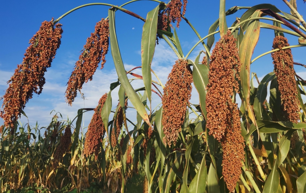 20231024105405621-70-8769c.jpg 20231024105405621-70-8769c.jpg