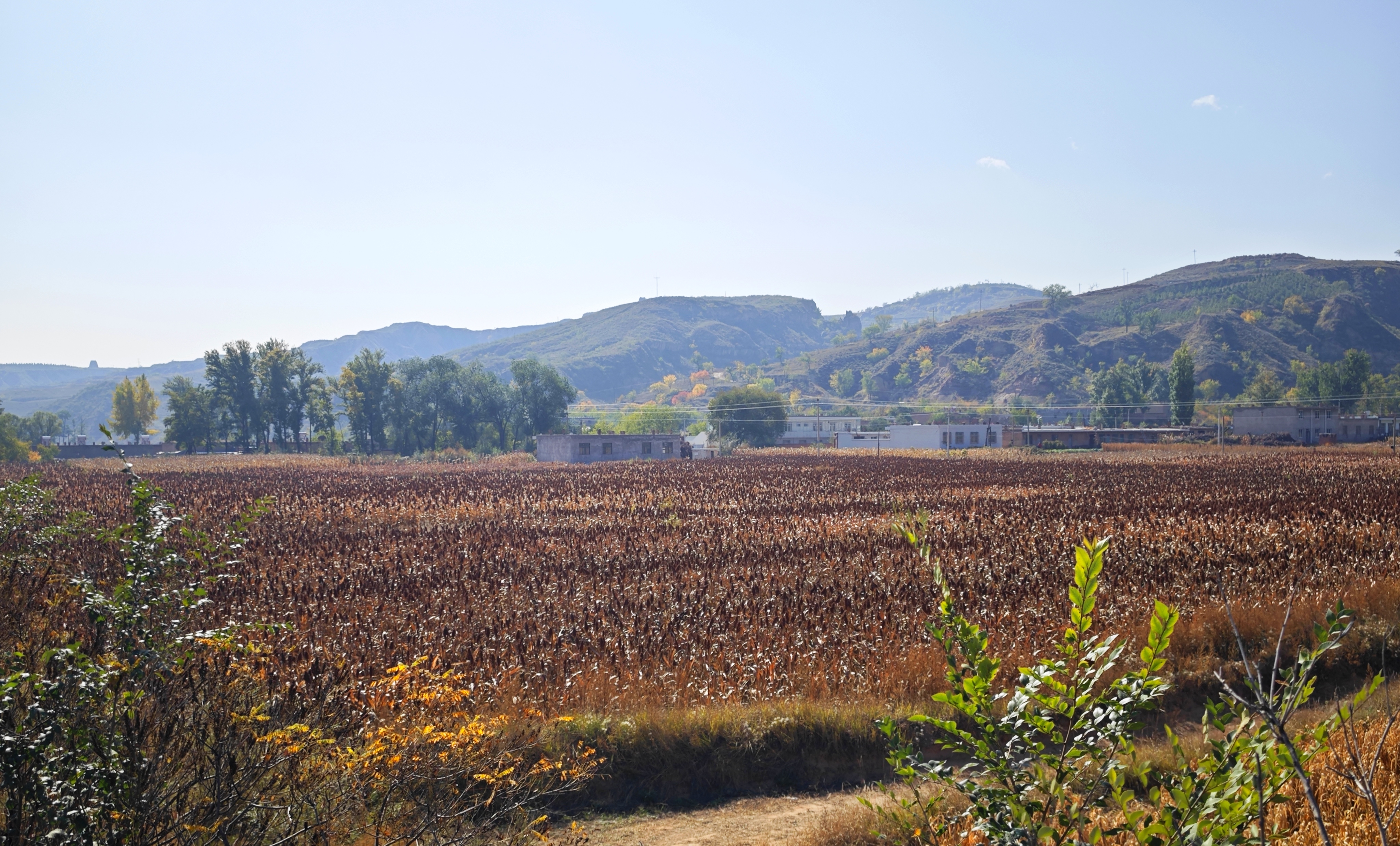 20231024105422168-75-20423.jpg 20231024105422168-75-20423.jpg