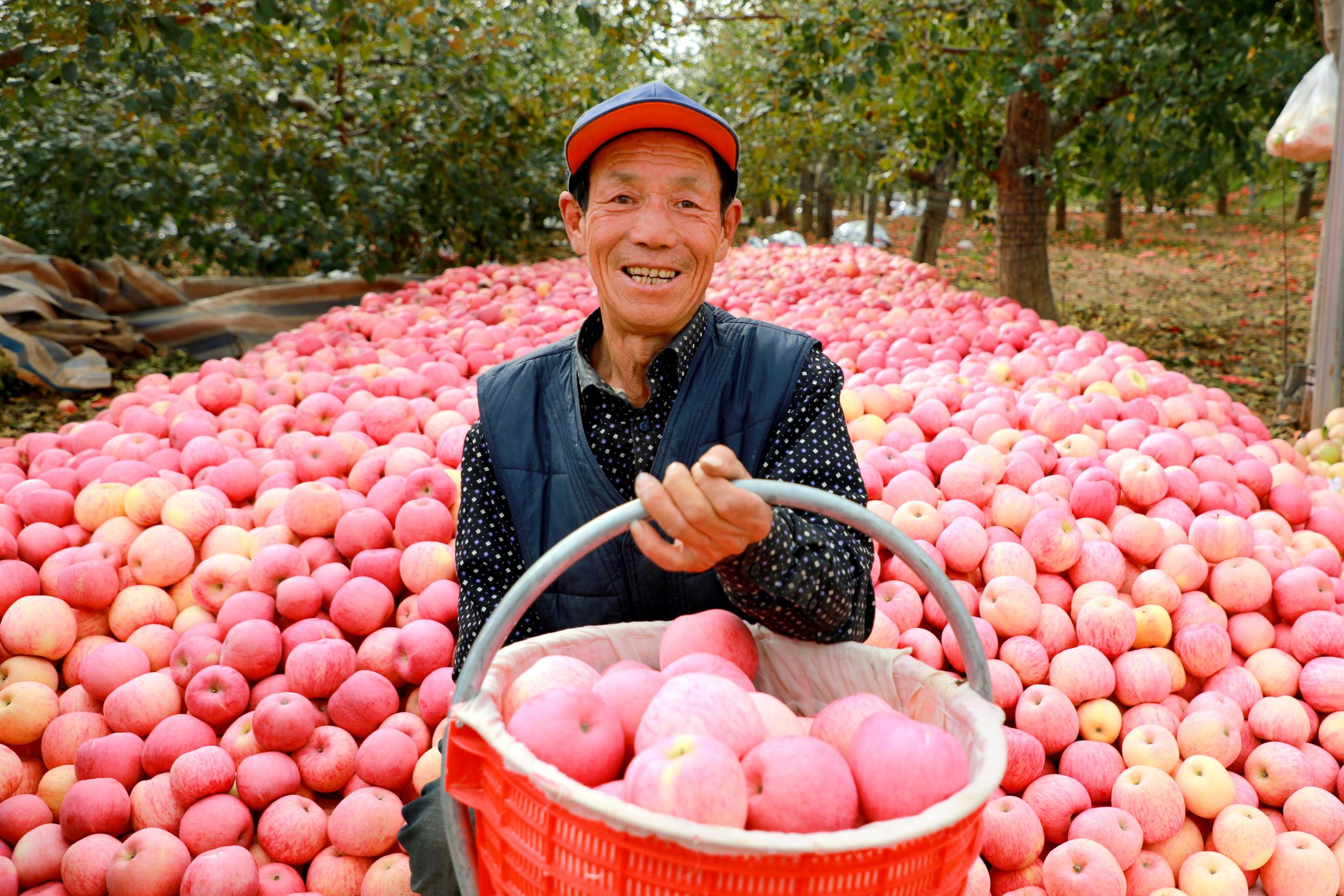 2999f24a64aa4d366ae0bbbbd1a8b60