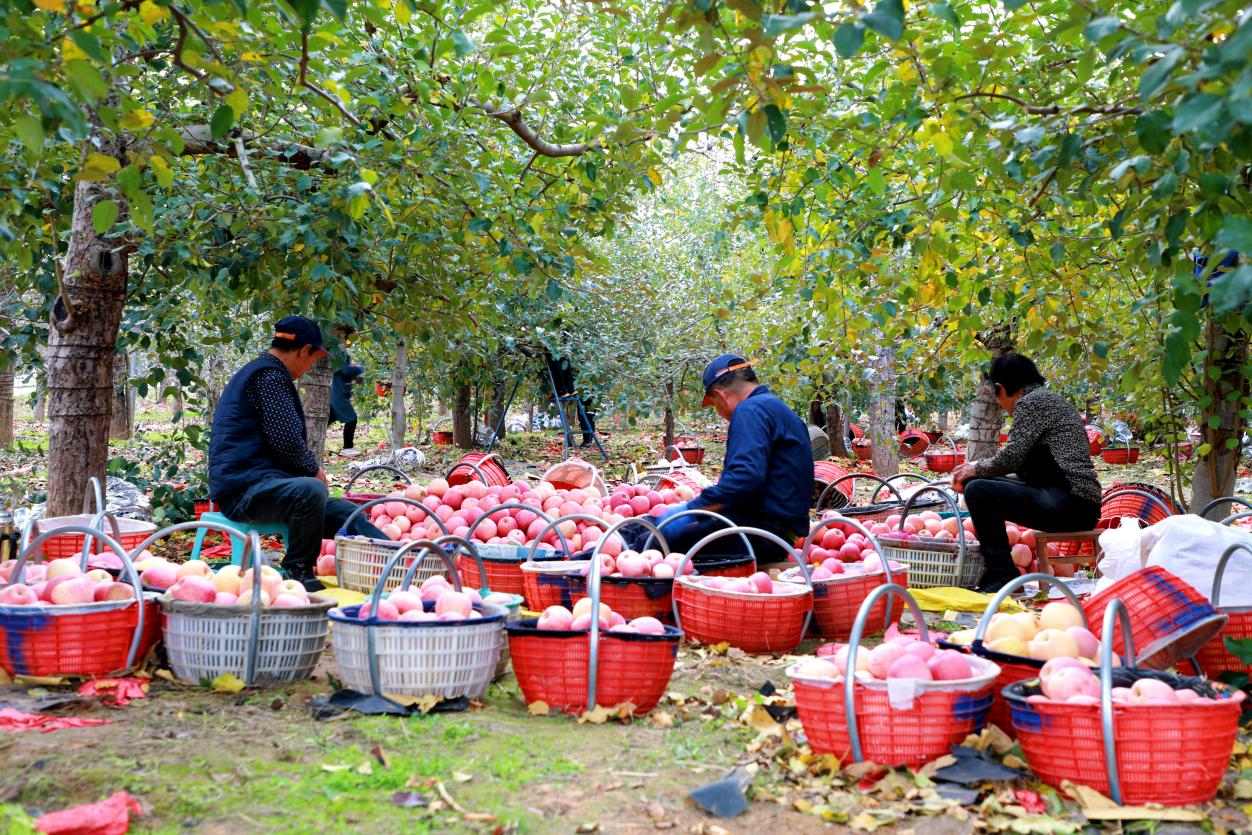 3962c089bcf9a32944fc444952c84f9