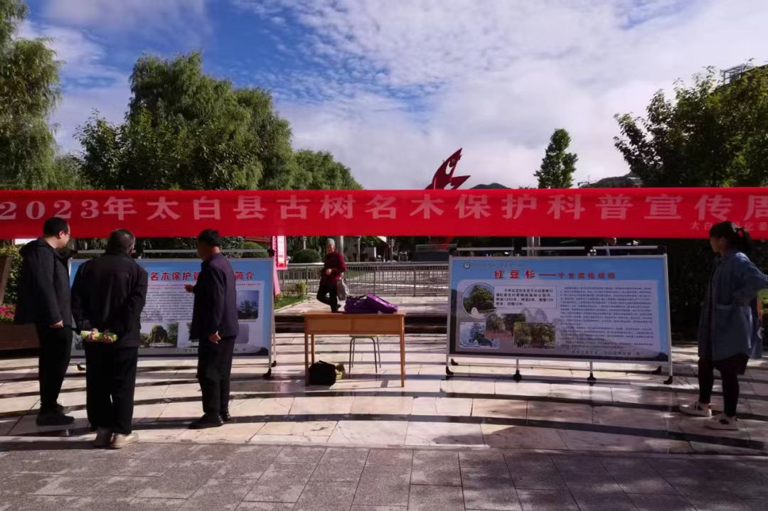 微信图片_20231112073850