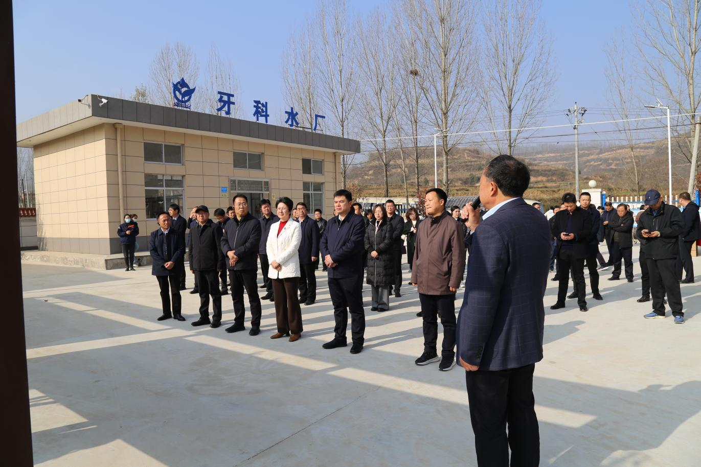 图片3