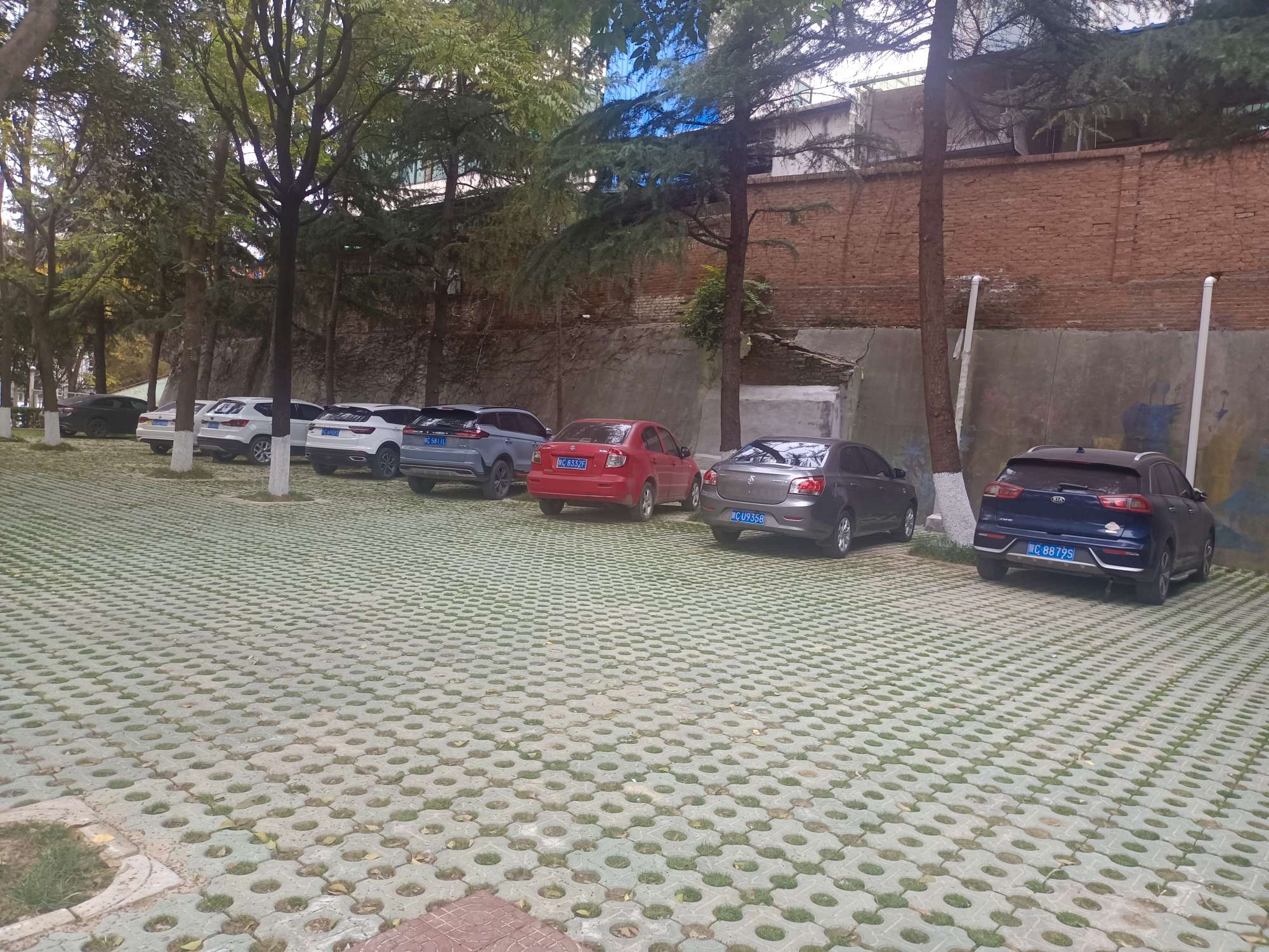 20231201104633032-78-0f5e9.jpeg