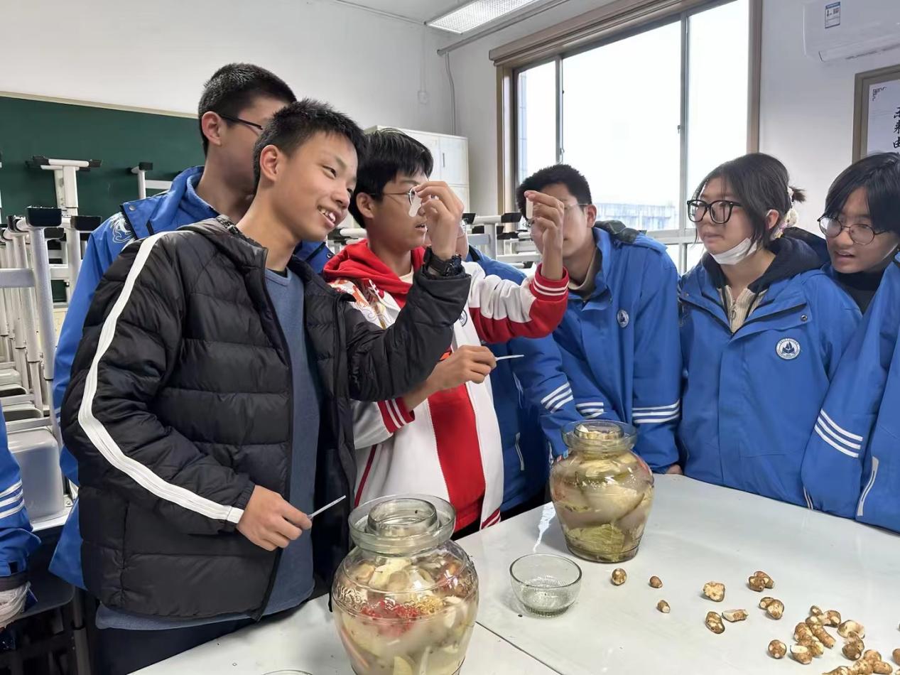 同学们参与生物课题制作