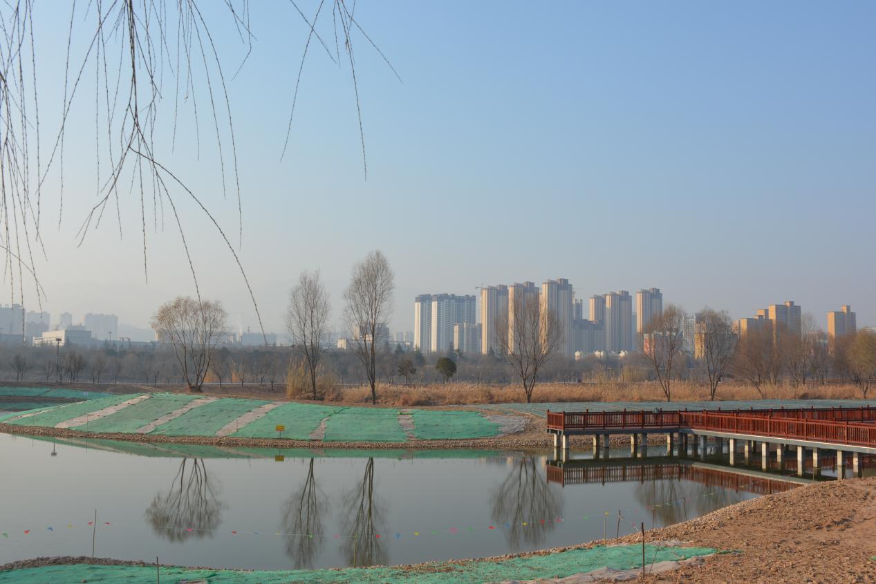 DSC_3543(1)