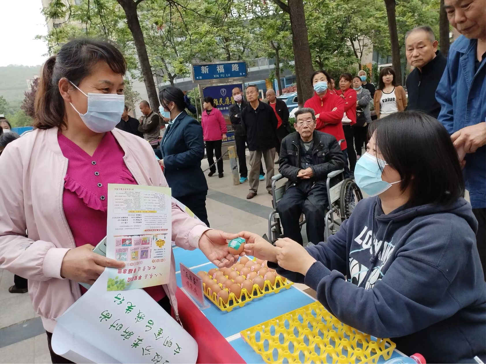 图片3