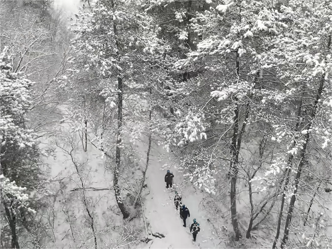 20240118144847271-49-a643d.png