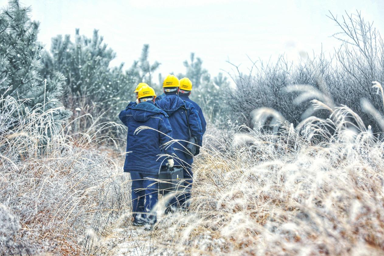 国网陕西电力员工踏雪寻线