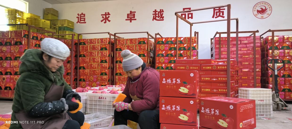 图示, 示意图

中度可信度描述已自动生成:ver1