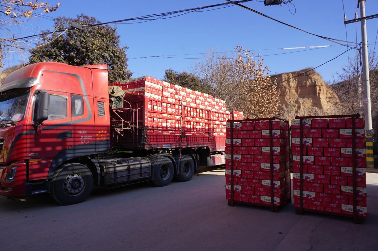 图示, 示意图

中度可信度描述已自动生成:ver1