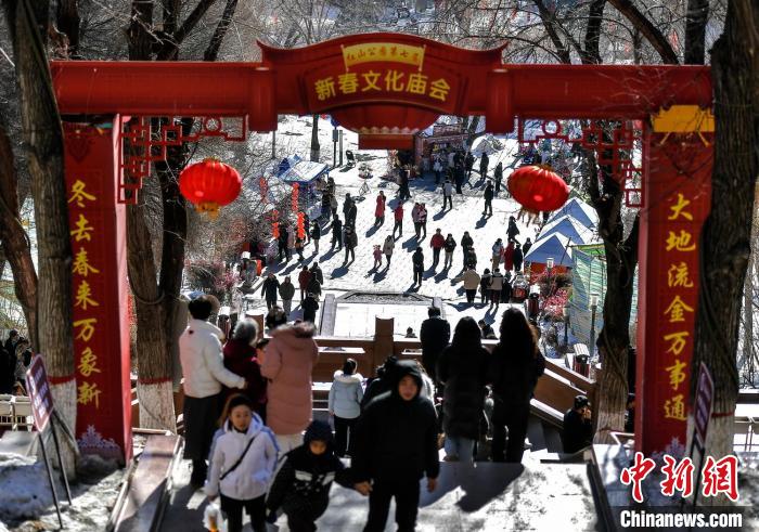 新春文化庙会吸引众多市民前来游玩。中新网记者 刘新 摄