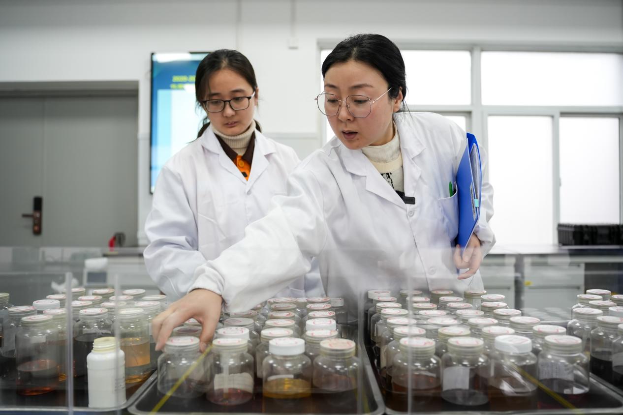 化验员张婷和徒弟许馨文对油样进行分类整理 刘刚摄