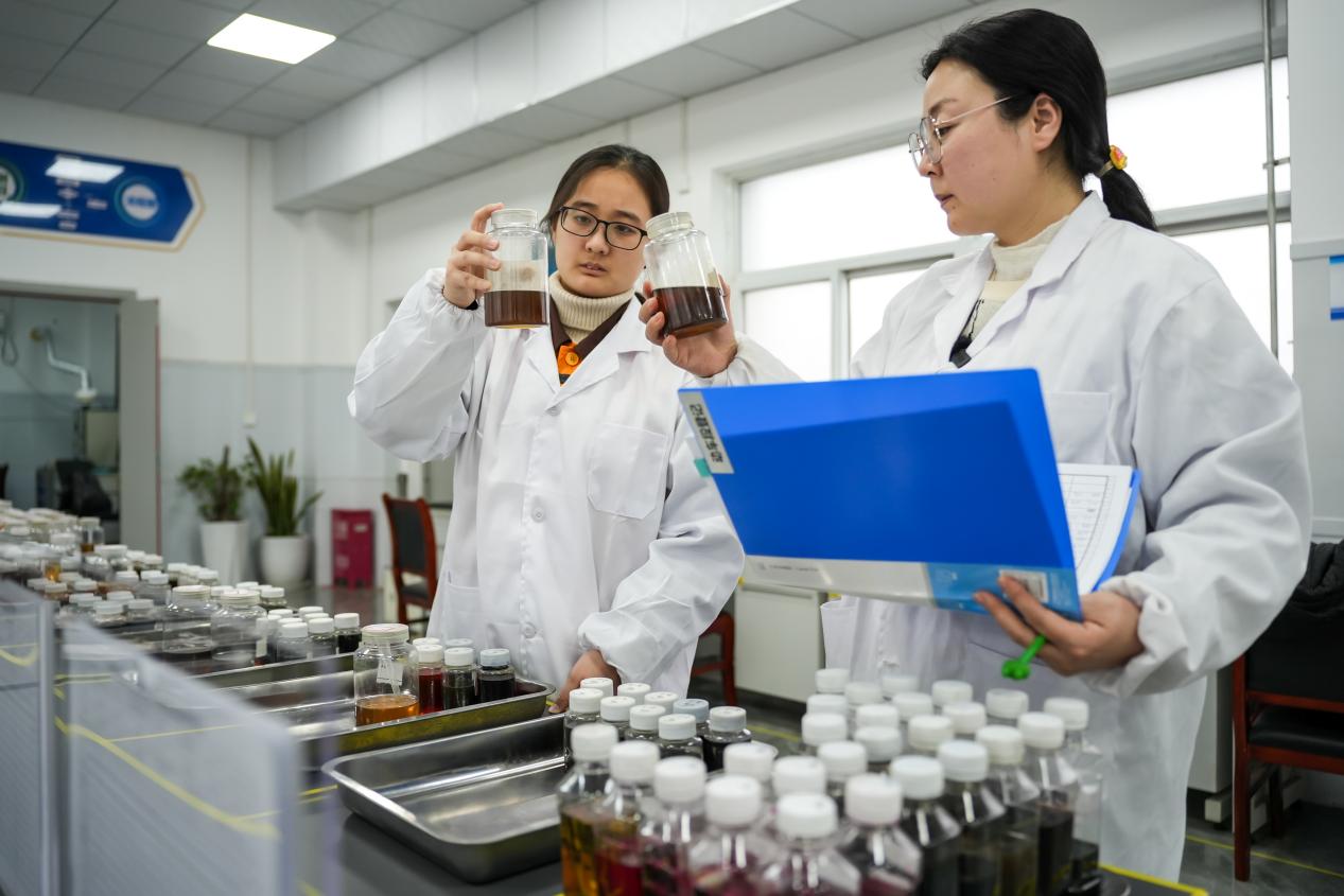 化验员张婷和徒弟许馨文对油样进行目测观察 刘刚摄