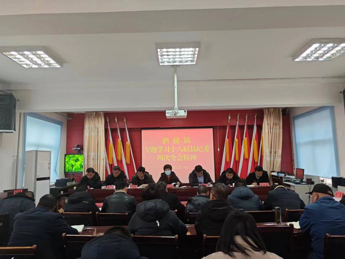 县纪委全会