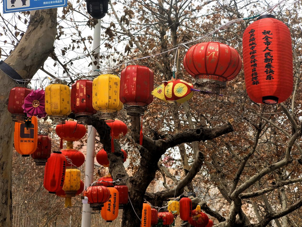 微信图片_20240221091732