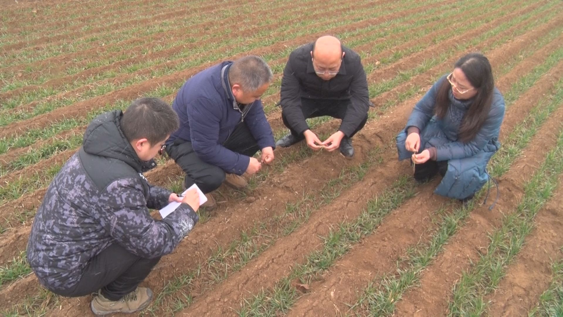 20240306201102546-52-4b69b.png 20240306201102546-52-4b69b.png