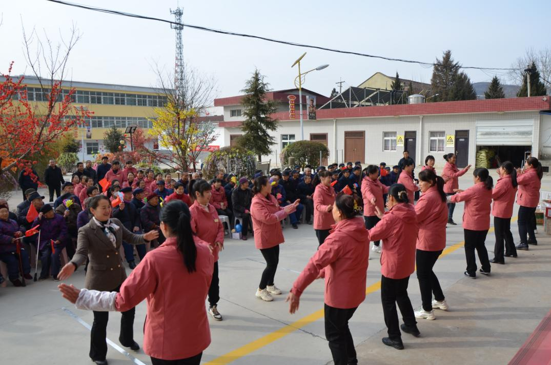 图片3