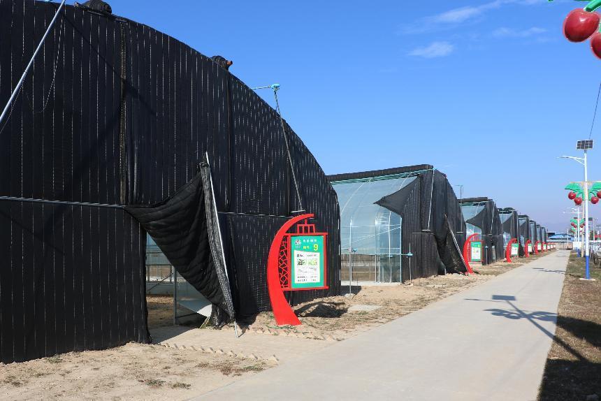 图示, 示意图&#10;&#10;中度可信度描述已自动生成:ver1