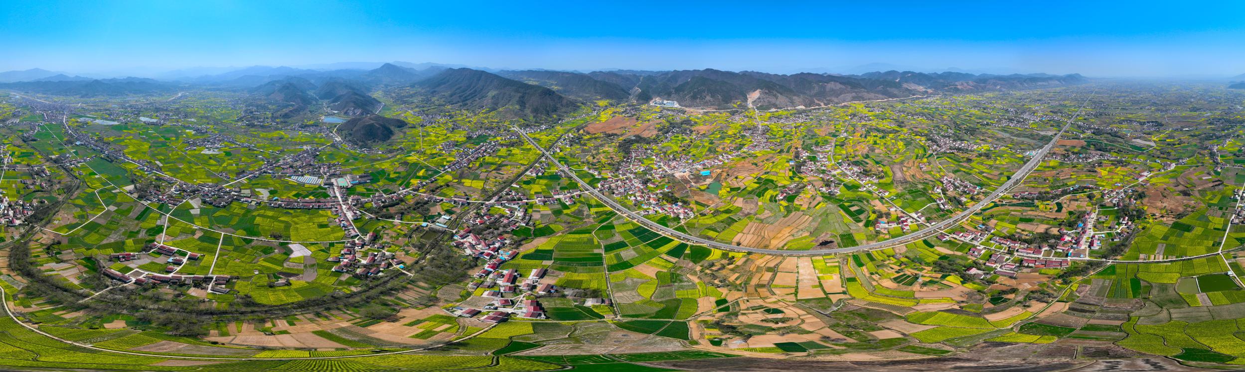1.图为2024年3月21日，陕西省汉中市南郑区岳家岭村，万亩油菜花海大景图。（任伟 航拍360度拍摄）
