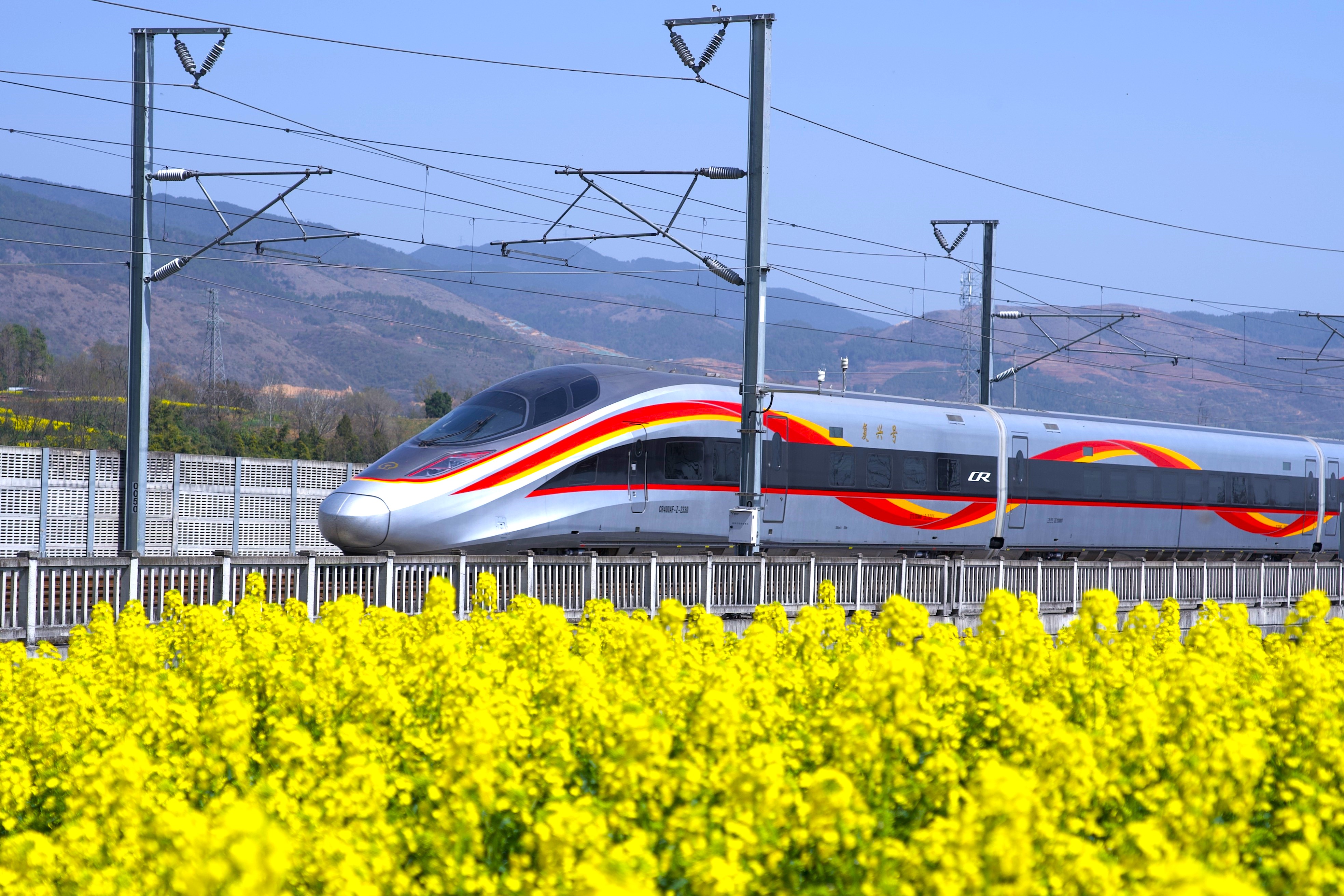6.图为2024年3月21日，陕西省汉中市南郑区岳家岭村，一列复兴号动车组从西成高铁线油菜花海中飞驰而过 （孙启龙 摄）