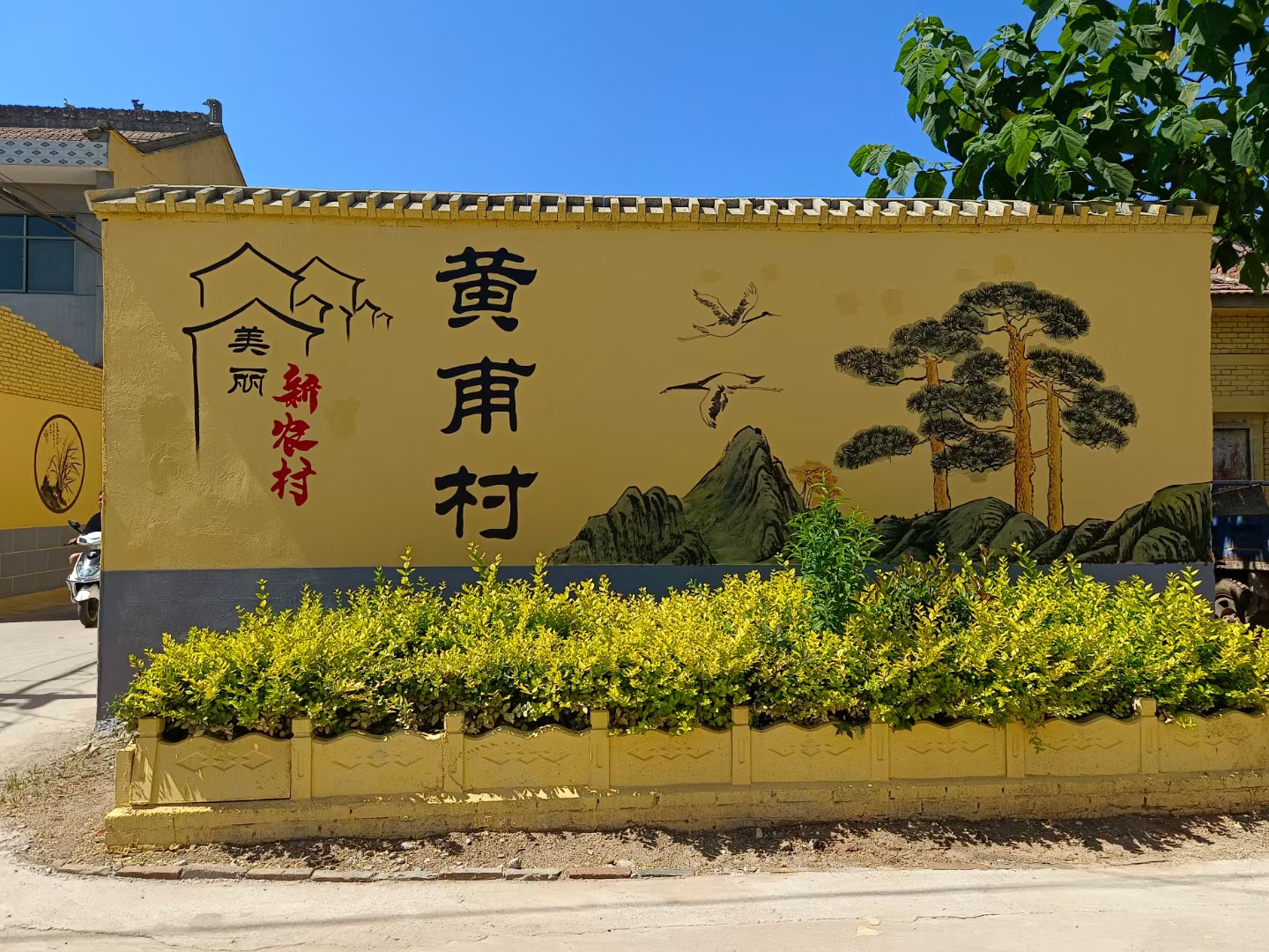 图片3