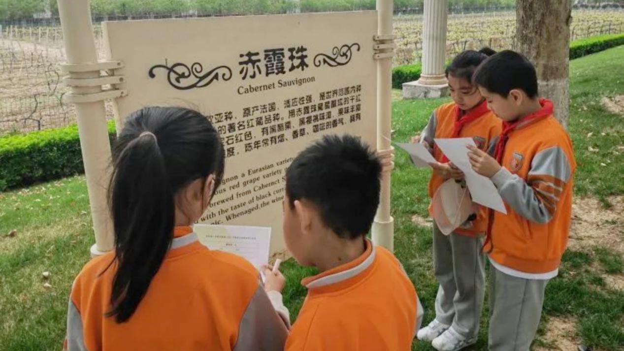 微信图片_20240413194414