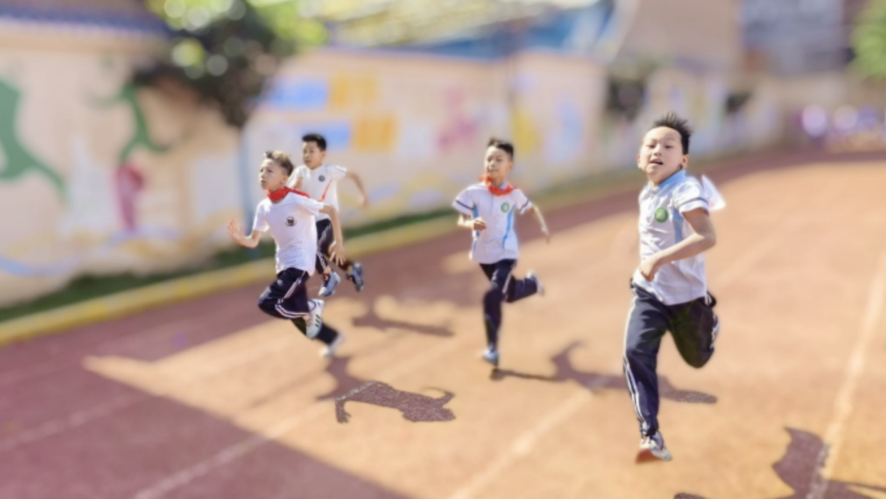 3a1ce1355fc14338adaab205e8582997