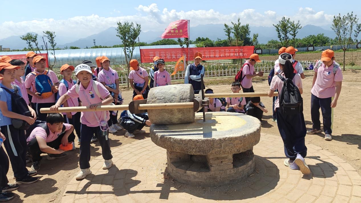 微信图片_20240513103926