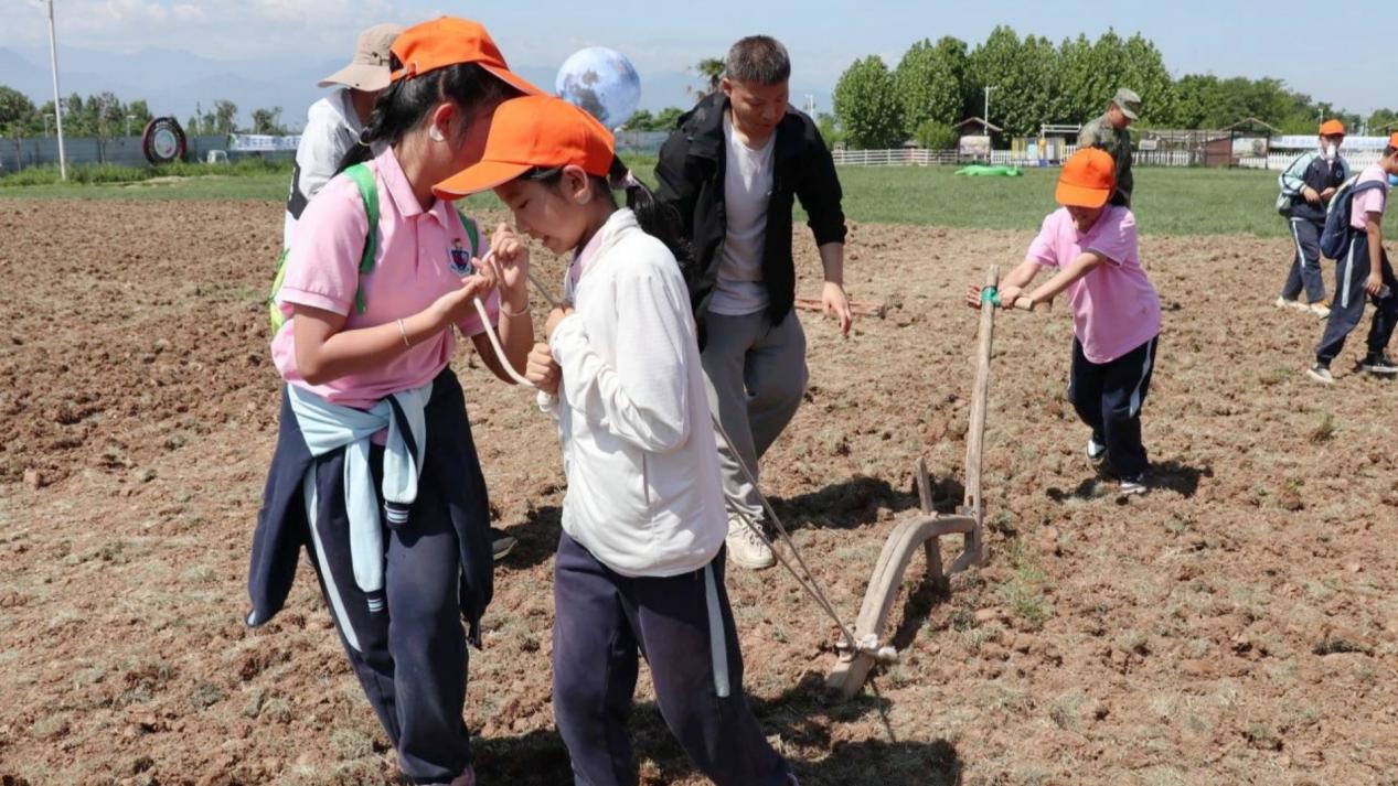 微信图片_20240513104012