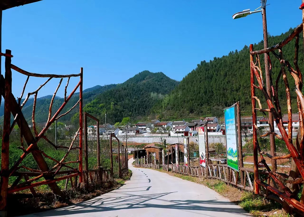 上川村庄