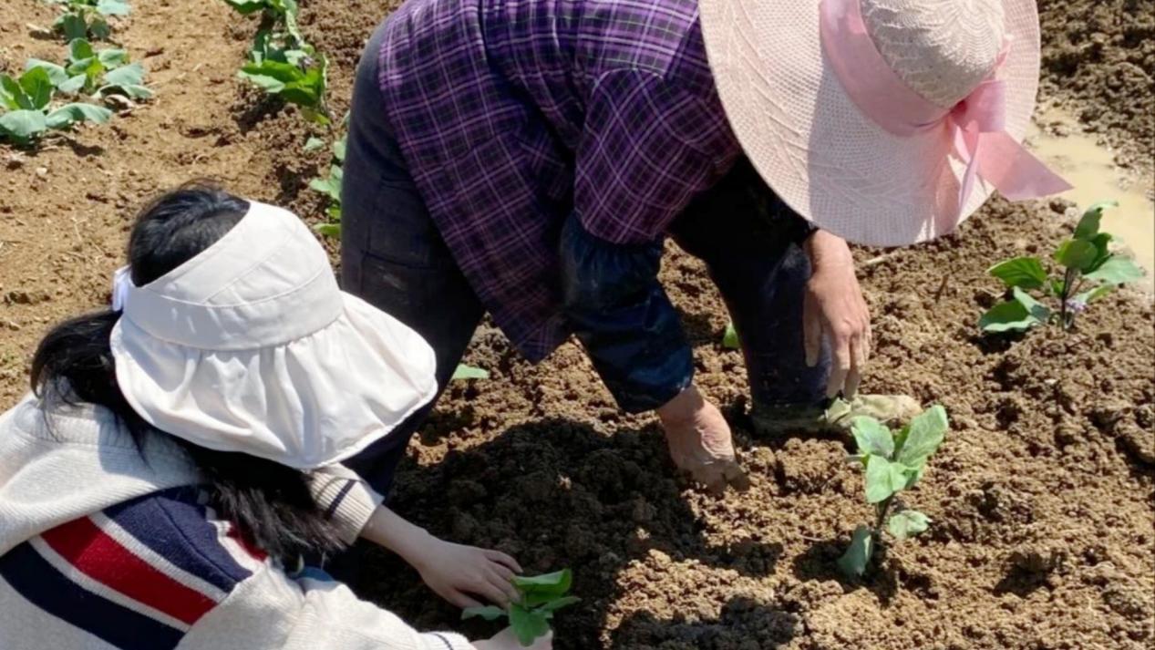 微信图片_20240515104458