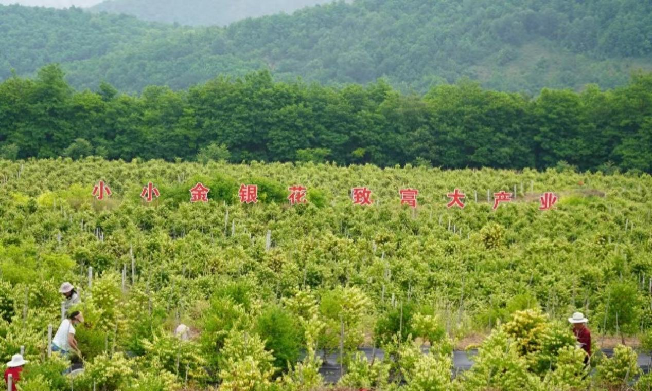 https://p3-sign.toutiaoimg.com/tos-cn-i-axegupay5k/6a8a9a31413b4c4da53be351d78e67fb~noop.image?_iz=58558&from=article.pc_detail&lk3s=953192f4&x-expires=1717921339&x-signature=a048e%2F7oDIlKaQzzFZ%2FJypPM0aA%3D