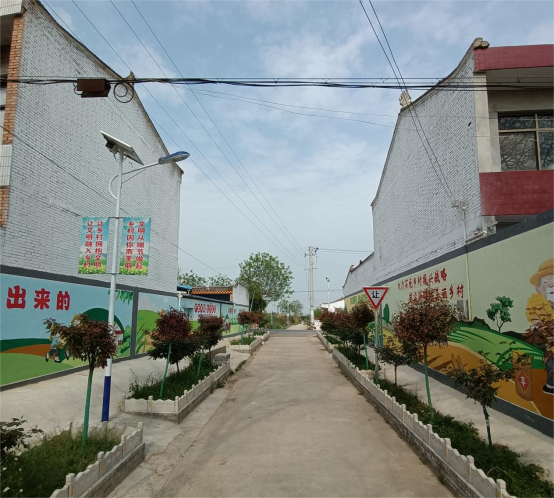 图片4
