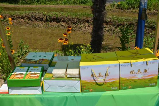 DSC_3729[2](1)