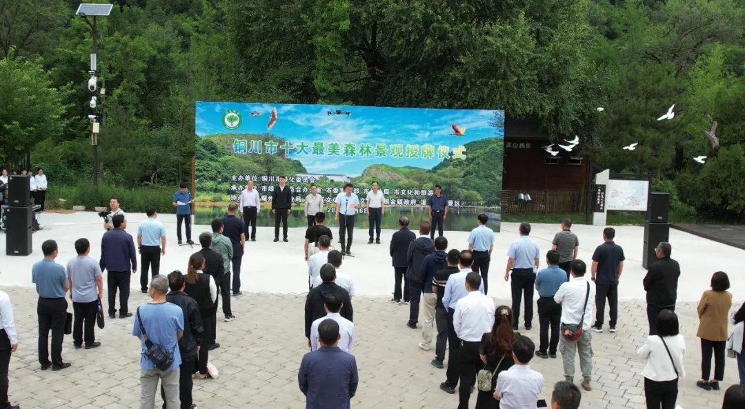 图示, 示意图&#10;&#10;中度可信度描述已自动生成