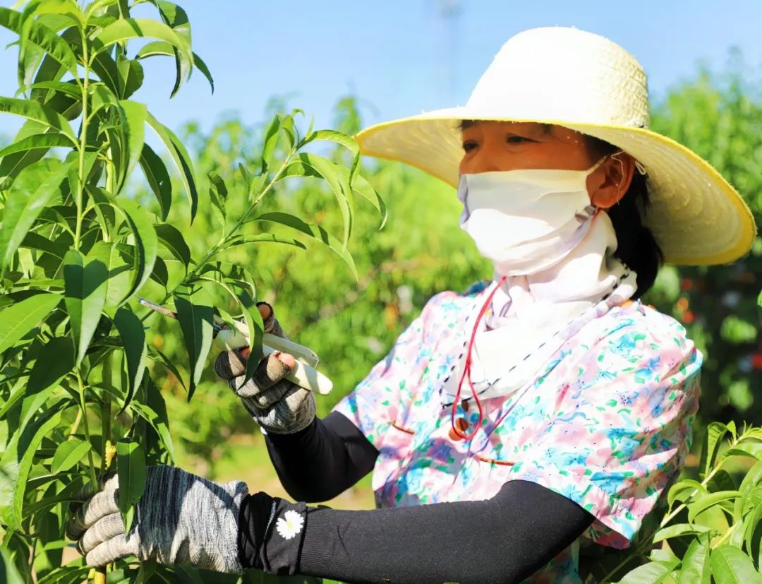 图示, 示意图&#10;&#10;中度可信度描述已自动生成