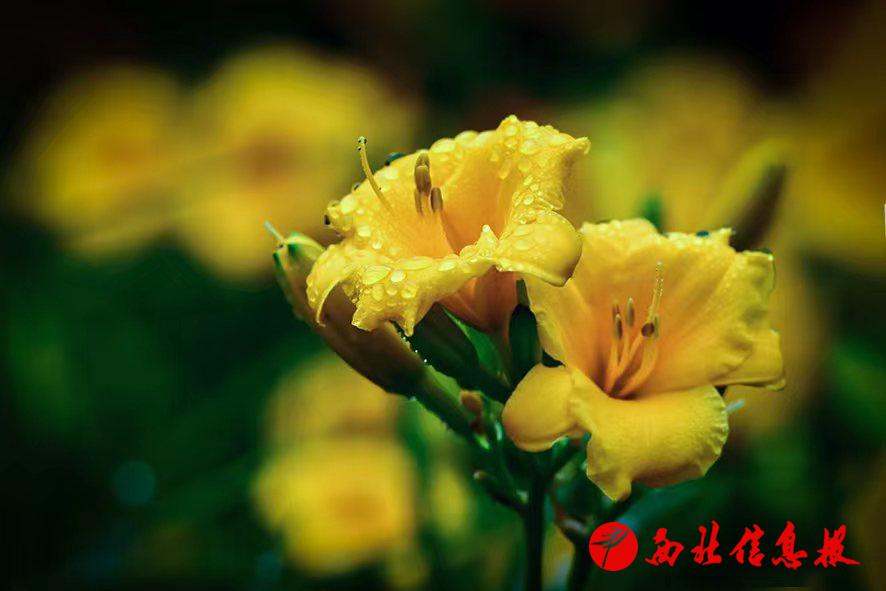 微信图片_20240624101844