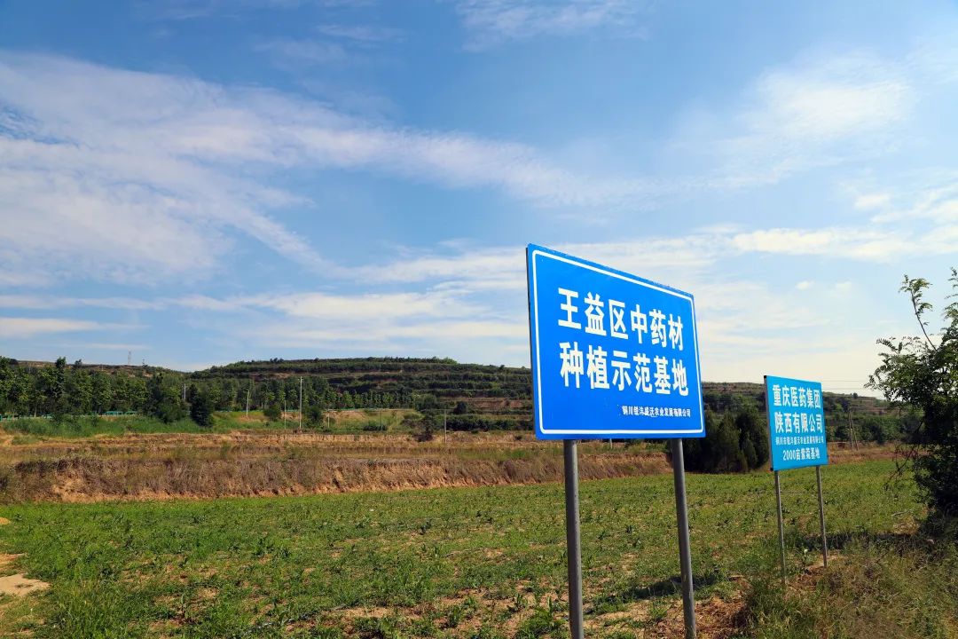 图示, 示意图&#10;&#10;中度可信度描述已自动生成